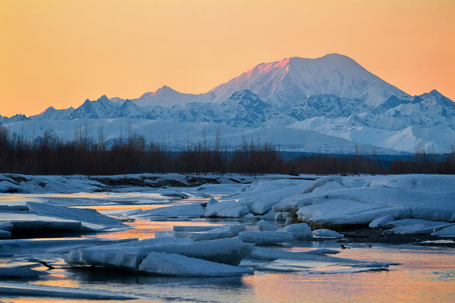 Mount Foraker Photograph by Scott Slone