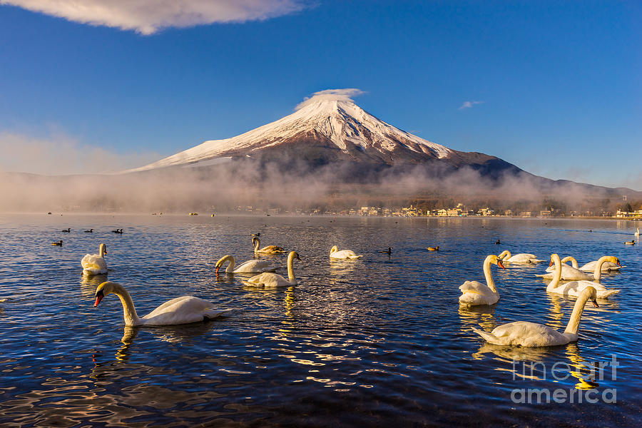 Mount Fuji - Japan Photograph by Luciano Mortula