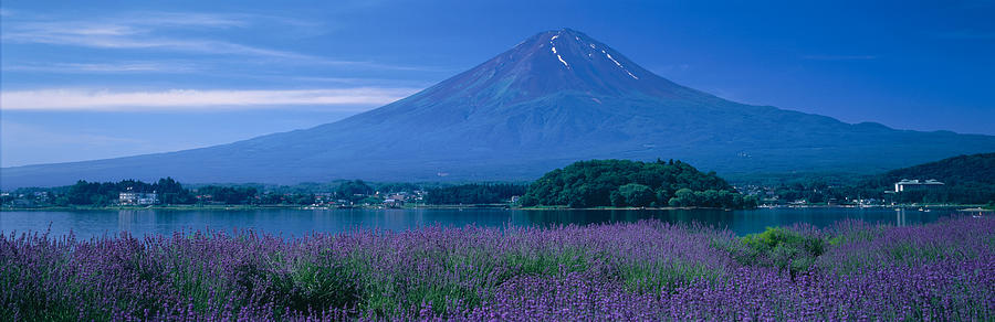Flower Photograph - Mount Fuji Japan by Panoramic Images