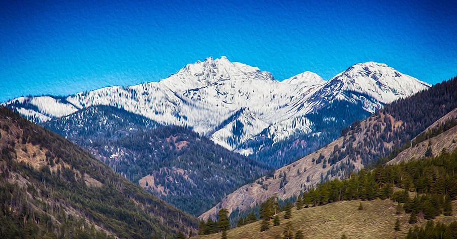 Abstract Photograph - Mount Gardner Close Up by Omaste Witkowski