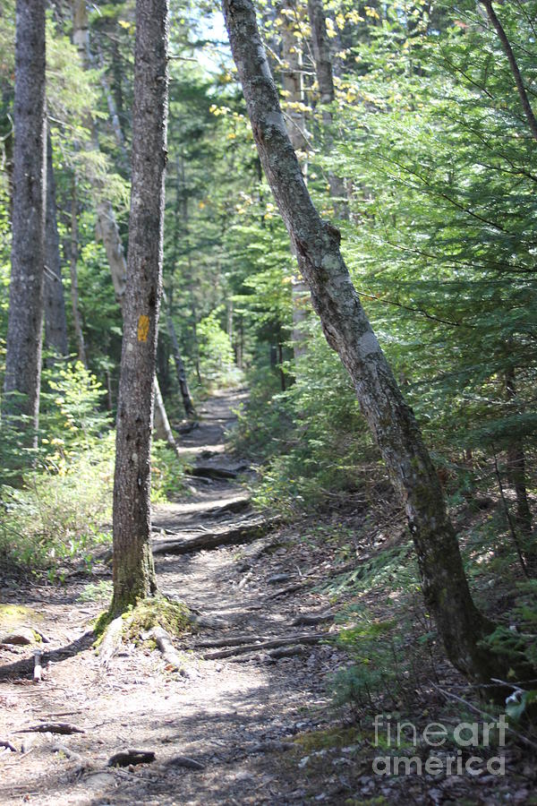 Mountain Photograph - Mount Hancock Hiking Trail New Hampshire by Spirit Baker