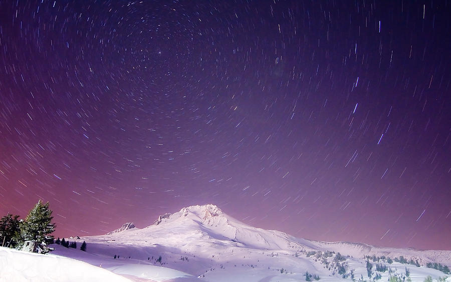 Mount Hood and Stars Photograph by Darren White