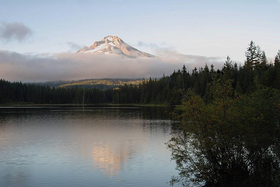 Mount Hood from Trillium Lake  Photograph by Shirley D Cross