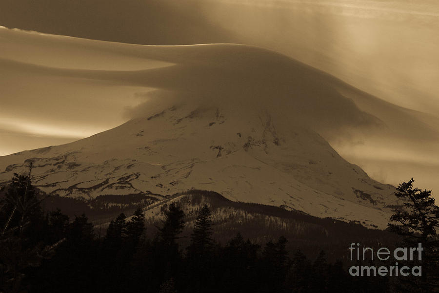 Landscape Photograph - Mount Hood in the Clouds by Cari Gesch