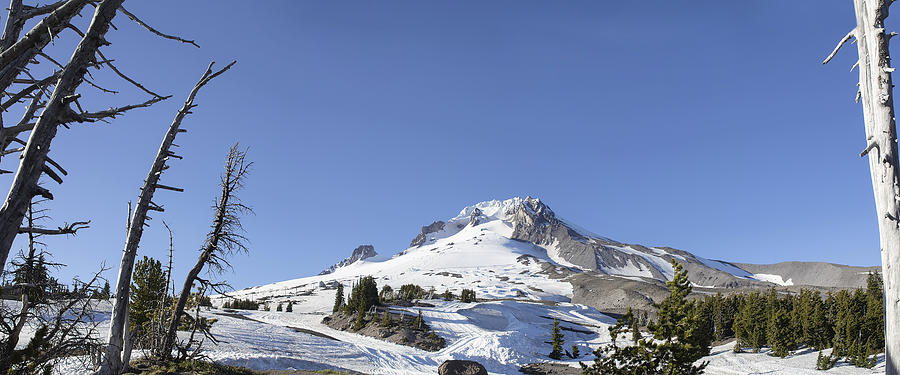 Mount Hood Oregon Panorama Photograph