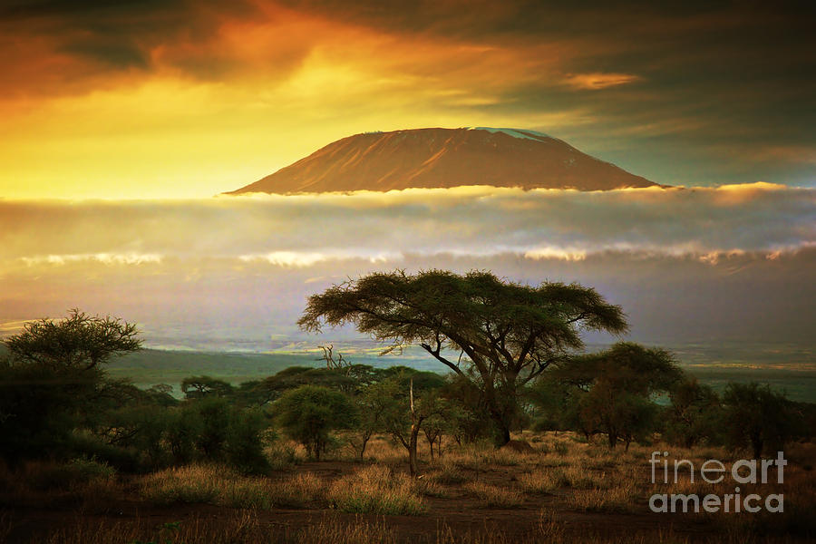 Nature Photograph - Mount Kilimanjaro Savanna in Amboseli Kenya by Michal Bednarek