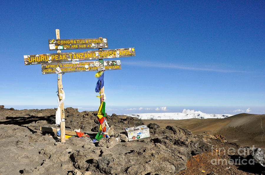 Nature Photograph - Mount Kilimanjaro summit sign in 5.895 meters with Northern Ice Fields beyond  by Elke Christina Lackner
