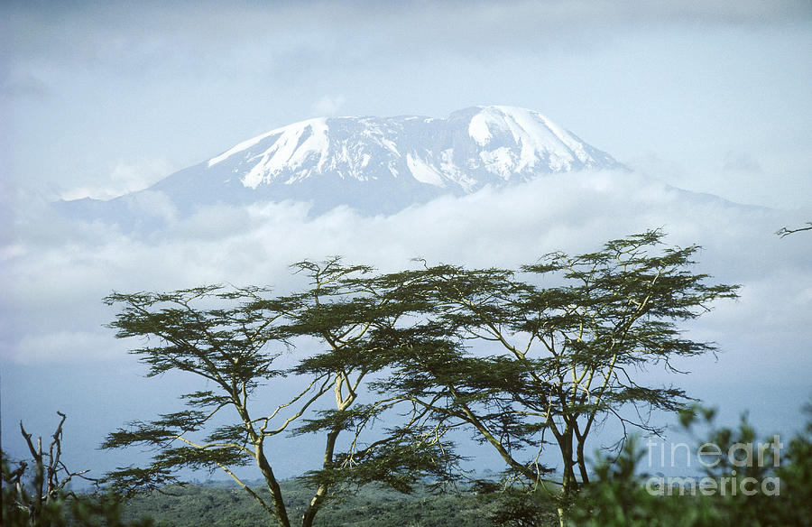 Mount Kilimanjaro, Tanzania Photograph by Gregory G. Dimijian, M.D.