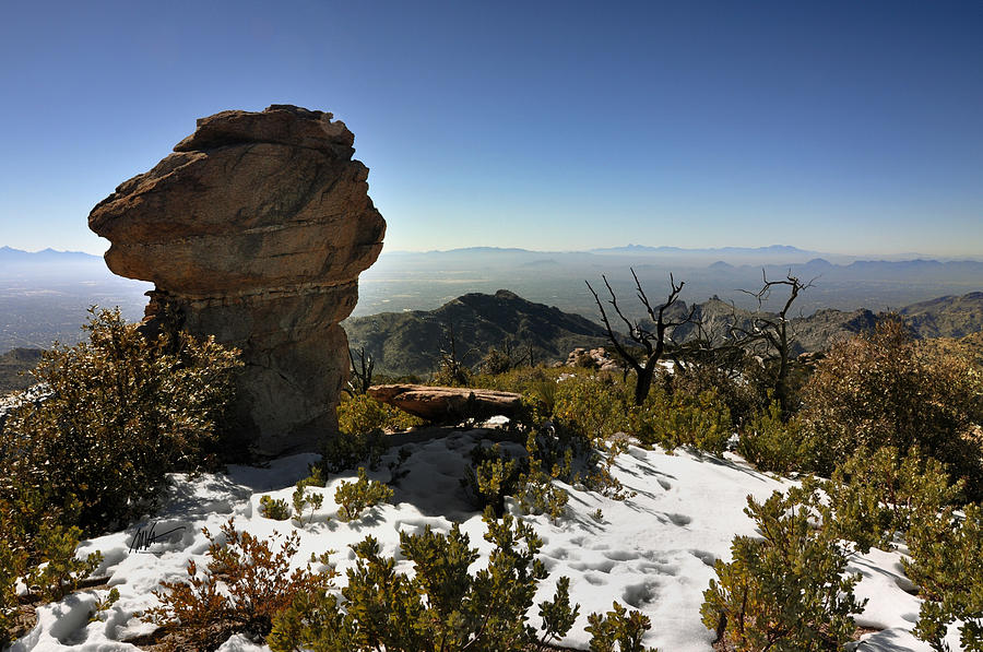 Mount Lemmon Christmas Snow - Greeting Card Photograph by Mark Valentine