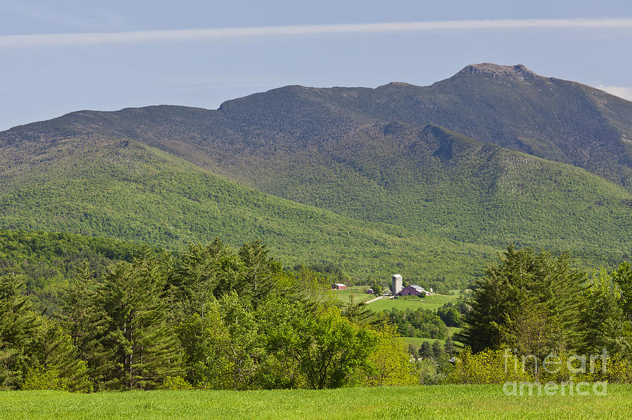 Mount Mansfield Spring Photograph by Alan L Graham