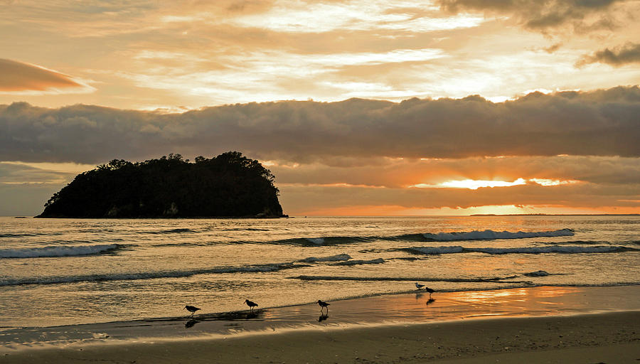 Mount Maunganui Sunrise Photograph by Steve Clancy Photography