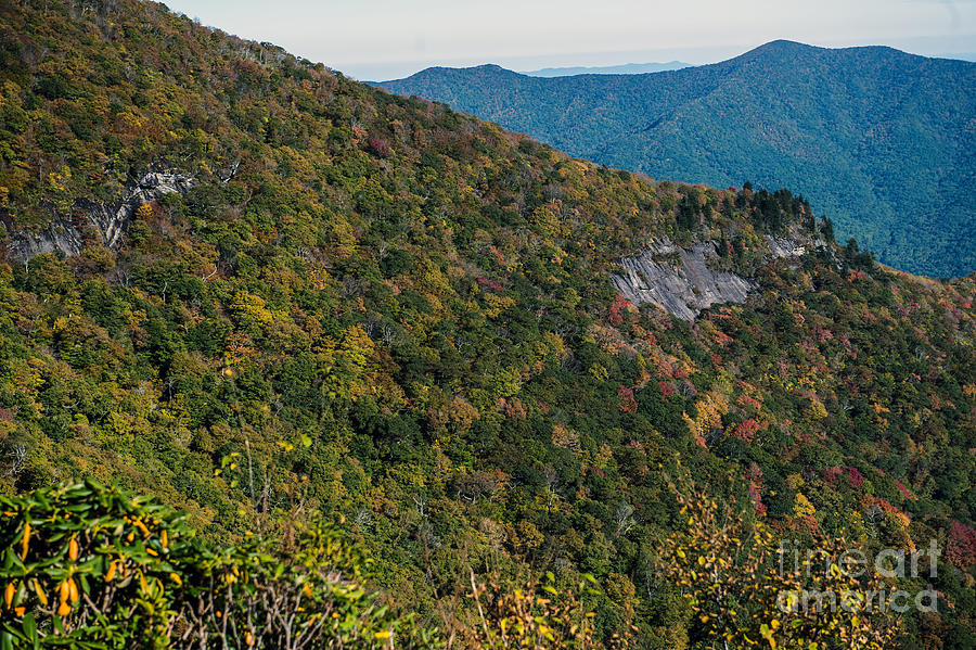 Mount Mitchell State Park in Autumn Colors #2 Photograph by David Oppenheimer