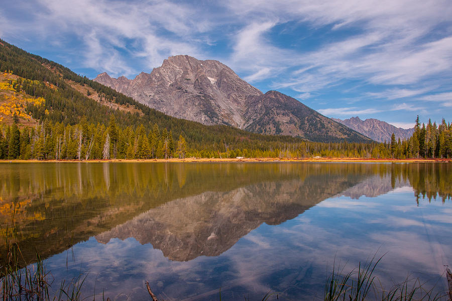Mount Moran Overlooking Leigh Lake in Autumn Photograph by Brenda Jacobs