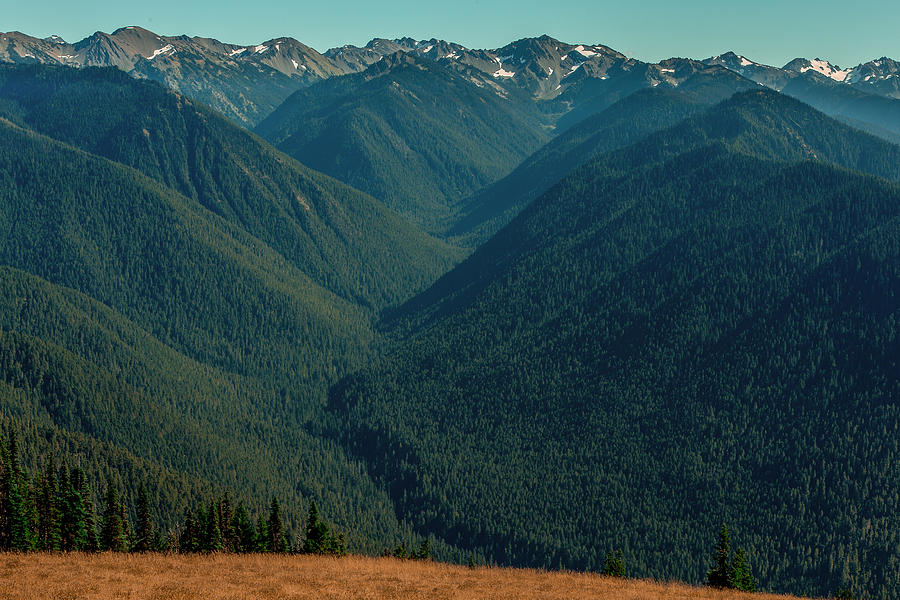 Olympic National Park Photograph - Mount Olympus- Olympic National Park  by Tim Bryan