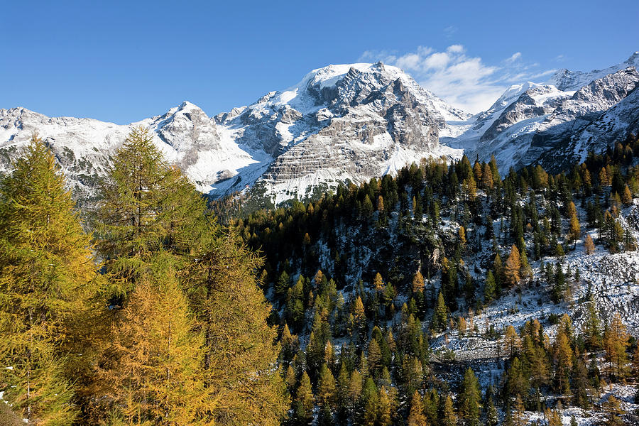 Mount Ortler (3905m Photograph By Martin Zwick 