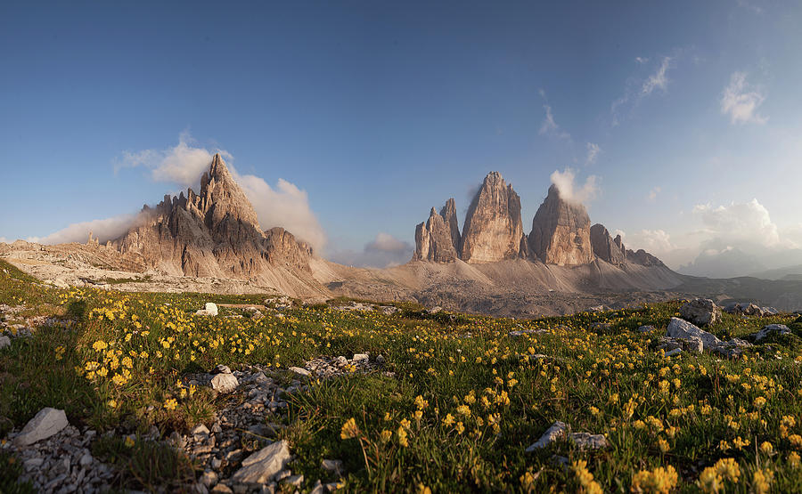 Mount Paterno, Tre Cime, Yellow Flowers Photograph by Alessandro Petri