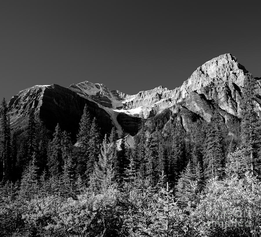 Mount Patterson In Fall Monochrome Photograph by Terry Elniski