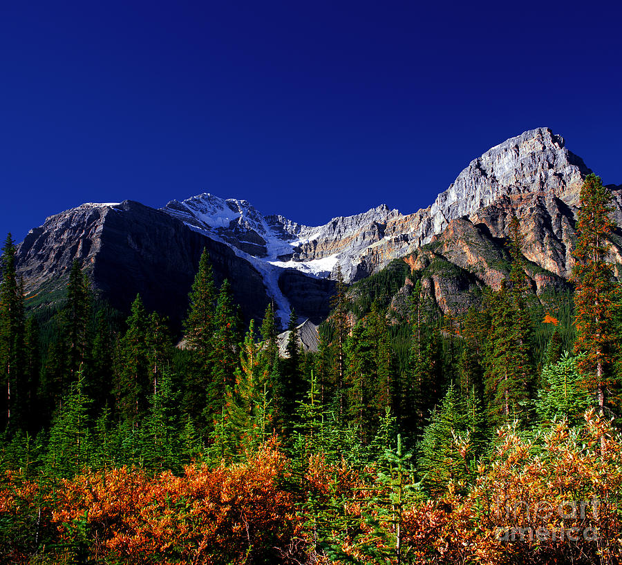 Mount Patterson In Fall Photograph by Terry Elniski