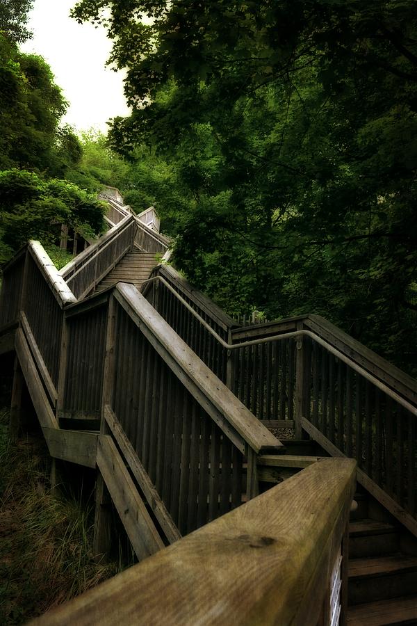 Mount Pisgah Stairs Photograph by Michelle Calkins