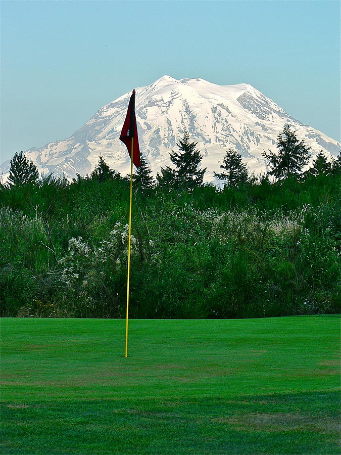 Mount Rainer at Lipoma Firs Photograph by Jean Wright