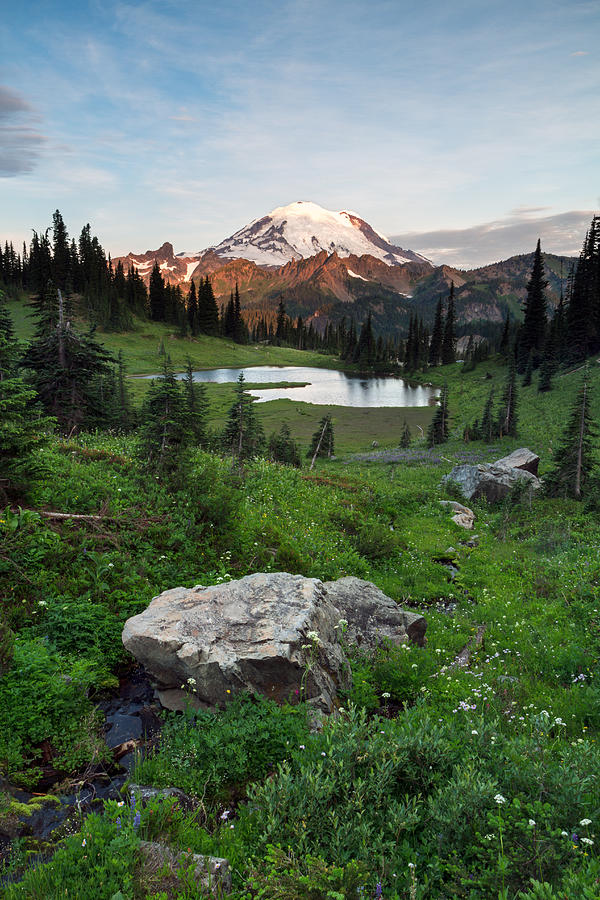 Mount Rainier and Upper Tipsoo Lake Photograph by Michael Russell