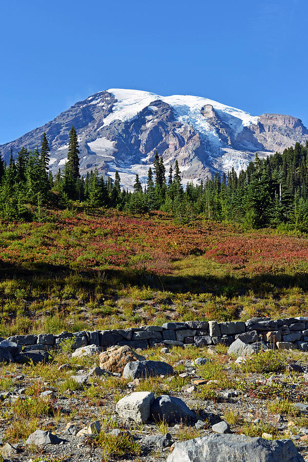 Mount Rainier Photograph by Anthony Baatz