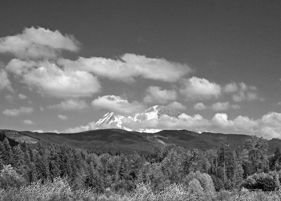 Mount Rainier as Viewed From the West BW Photograph by Connie Fox