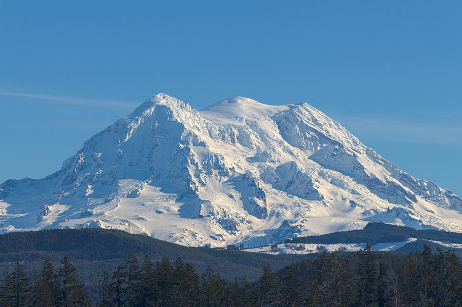 Mount Rainier Photograph by David Gleeson