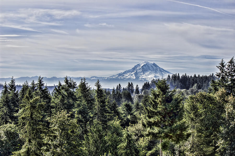 Mount Rainier in the Distance Photograph by Cathy Anderson