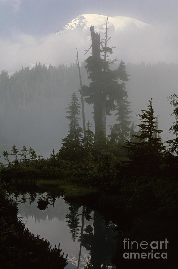 Mount Rainier Photograph by Jim Corwin