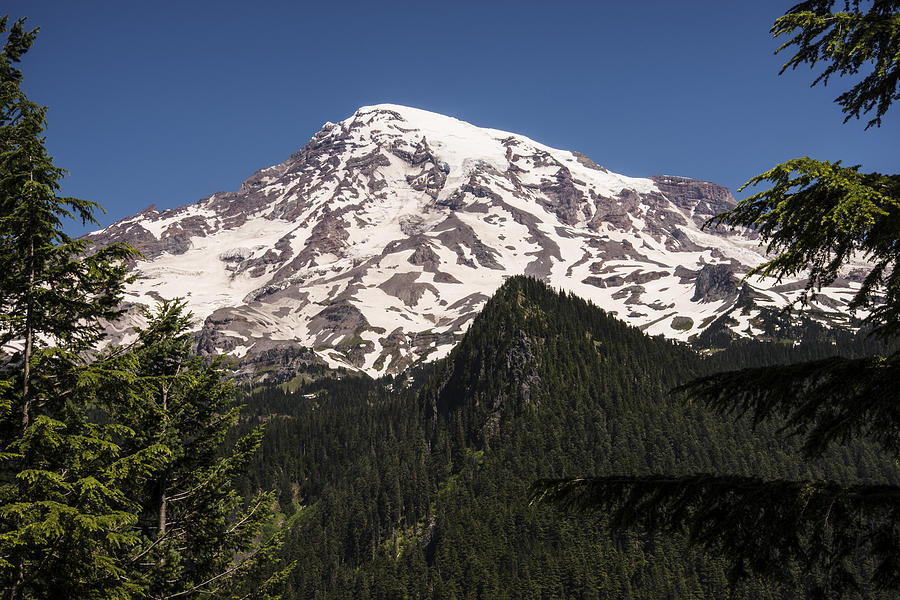 Mount Rainier Photograph by Lee Kirchhevel