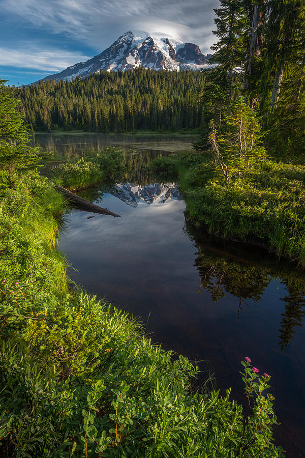 Mount Rainier Morning Photograph by Mike Walker