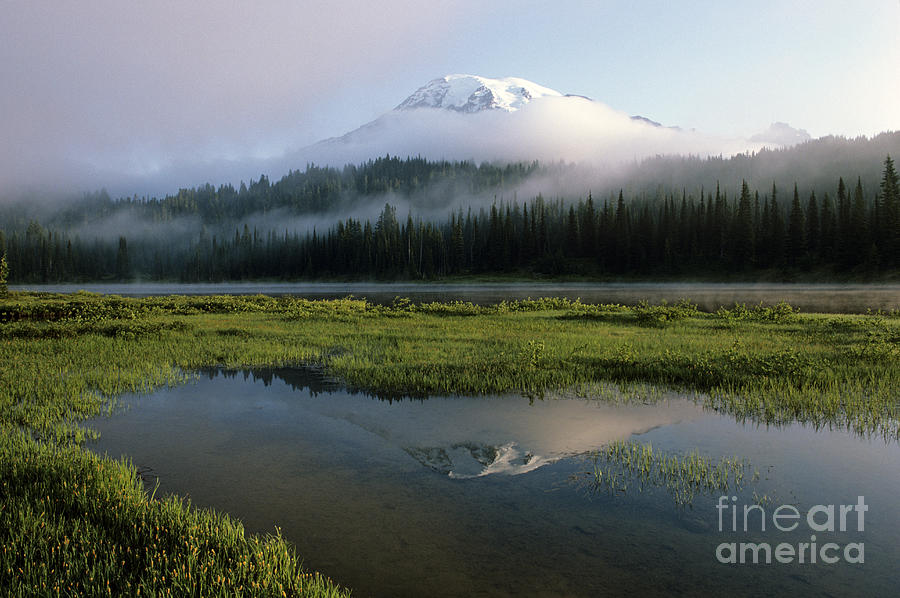 Mount Rainier National Park Photograph - Mount Rainier shrouded in fog by Jim Corwin