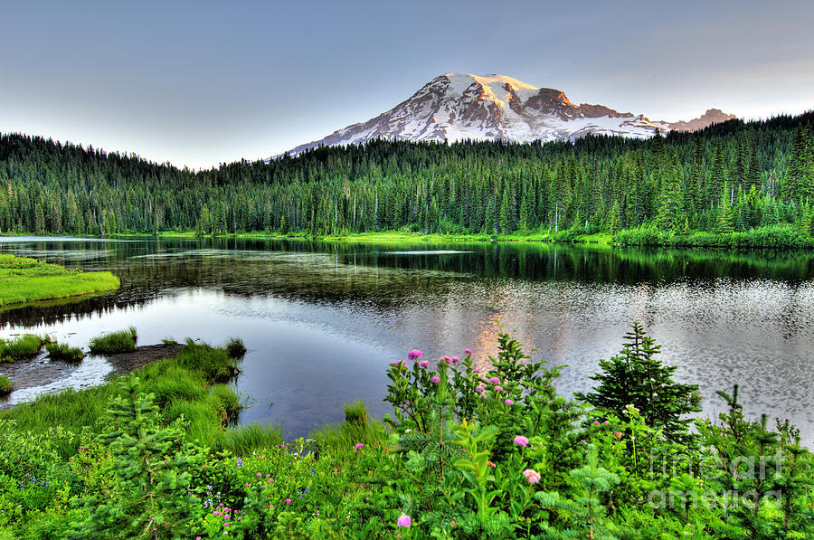 Mount Rainier Sunrise Photograph by Ken Andersen - Fine Art America