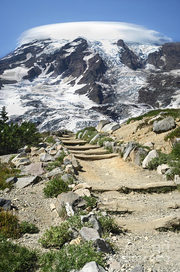 Nature Photograph - Mount Rainier Trail by Jason Kolenda