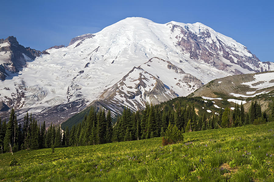 Mount Rainier Washington Photograph