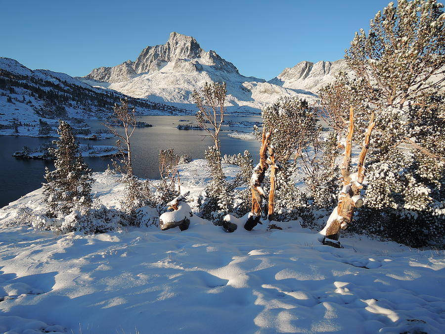 Yosemite National Park Photograph - Mount Ritter snowed in by Debra Wales