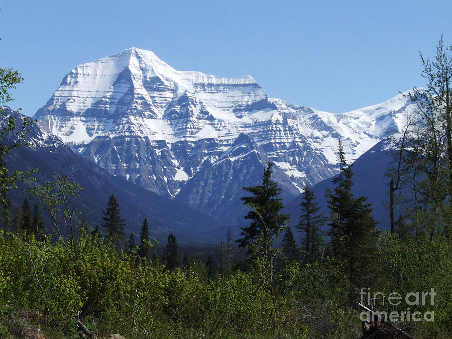 Mount Robson - Canada Photograph by Phil Banks