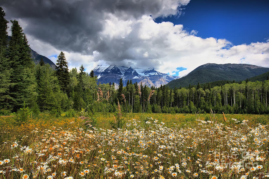 Nature Photograph - Mount Robson by Teresa Zieba