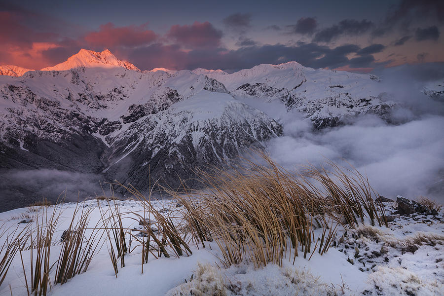 Mount Rolleston At Dawn New Zealand Photograph by Colin Monteath