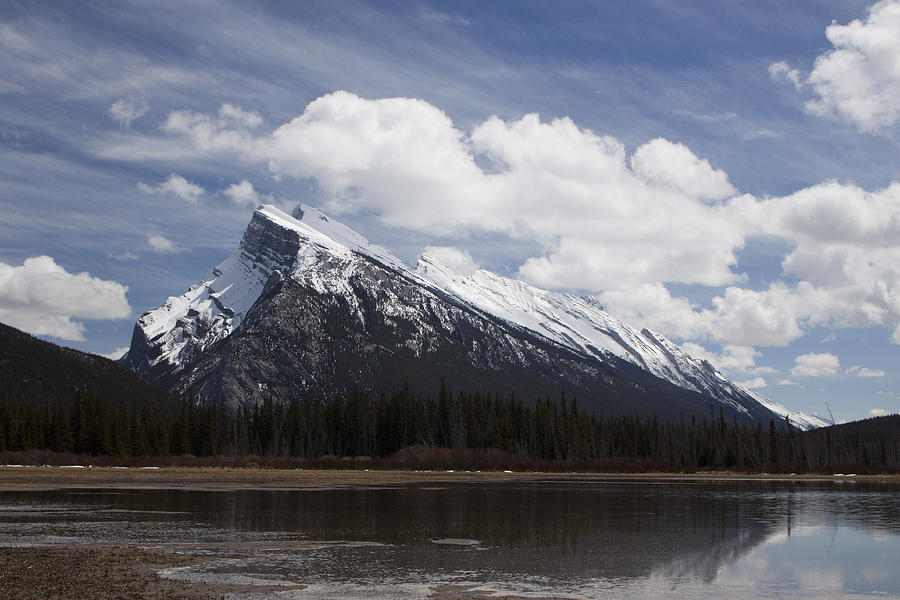 Mount Rundle and Vermilion Lake Photograph by Tony Mills