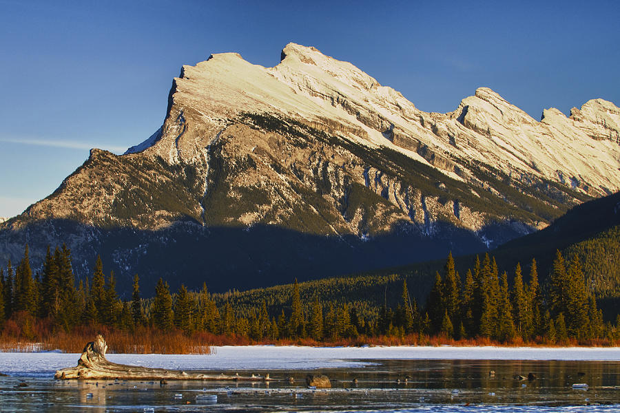 Mount Rundle Photograph by Brandon Smith - Fine Art America