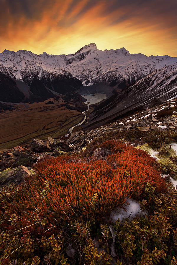 Mountain Photograph - Mount Sefton by Yan Zhang
