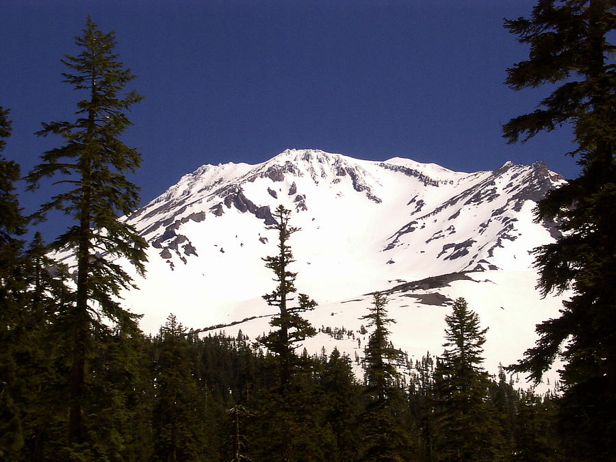 Mount Shasta Photograph by Daniel Larsen