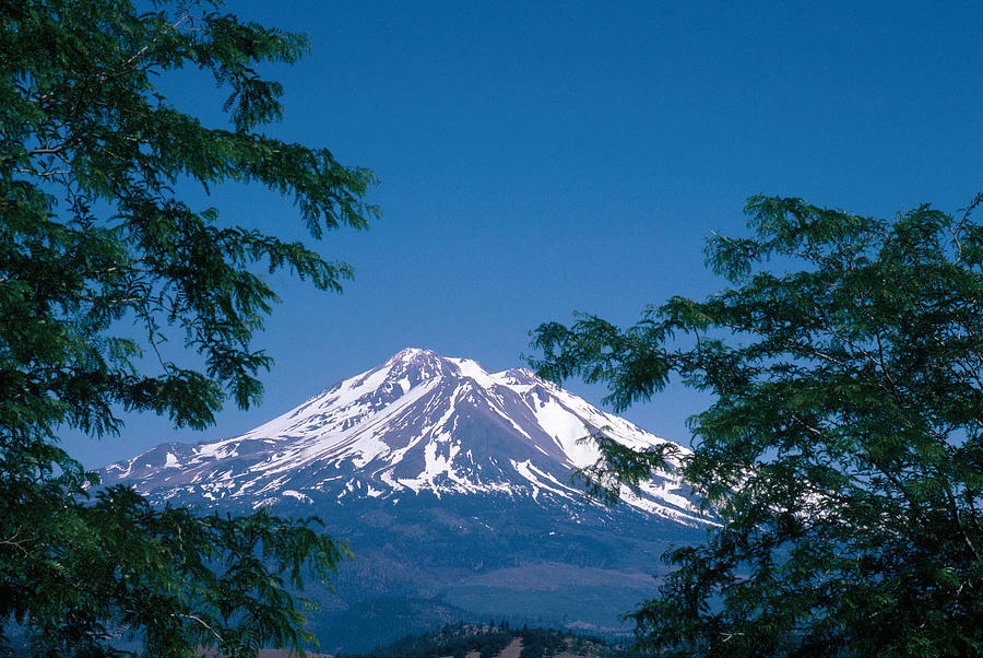 Mount Shasta Photograph by Earl Scott