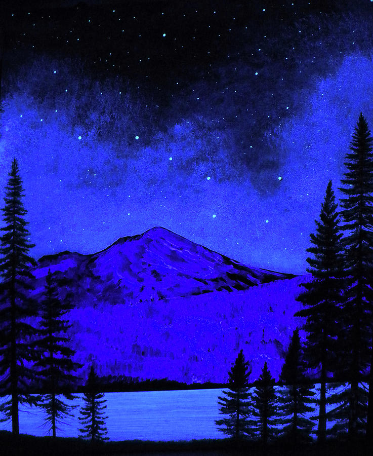 Mount Shasta in Starlight Painting by Frank Wilson