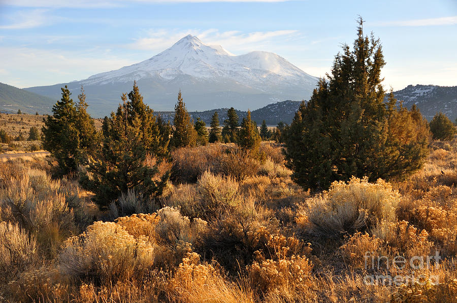 Mount Shasta in the Fall  Photograph by Gary Whitton