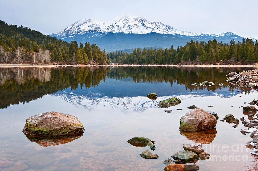 Winter Photograph - Mount Shasta Reflection - Lake Siskiyou in California with reflections. by Jamie Pham