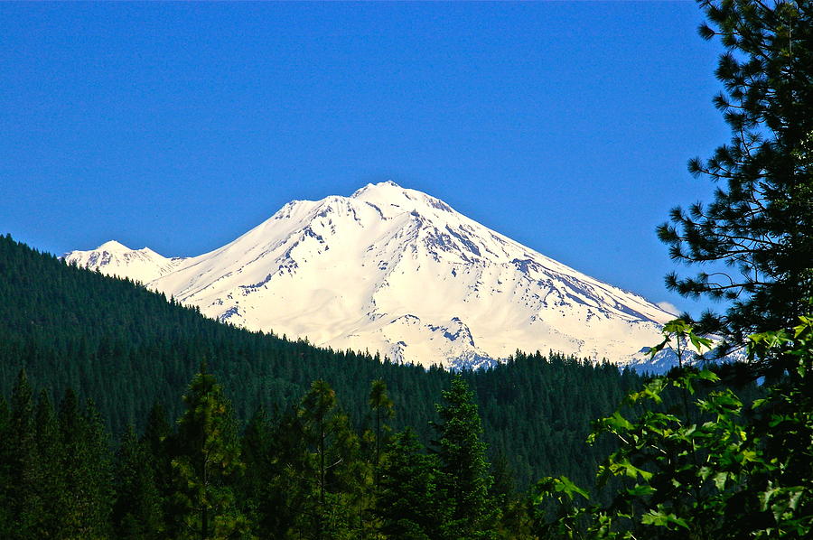 Mount Shasta Photograph By Richard Headley 