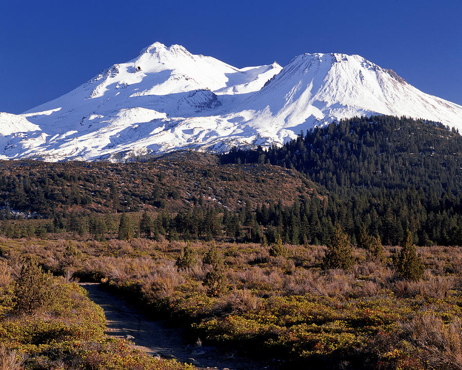 Mount Shasta Photograph by Theodore Clutter